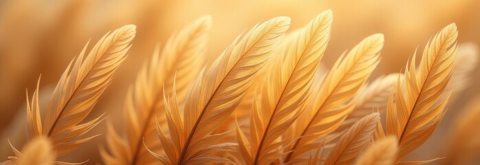 Poster - A close up of a feather with a yellow background