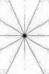 A intricate black spider web on white.