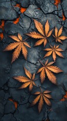 Poster - Five orange leaves on a cracked dark surface with a hint of orange underneath.