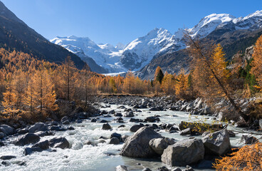 Fototapete - Golden autumn colors and the high mountains of the Bernina mountain range on a beautifull day.
