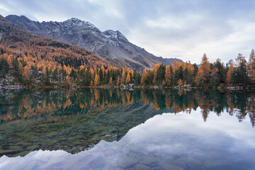 Fototapete - Famous mountain lake 'Lagh da Saoseo' during a tranquil, autumn morning.