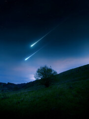 Wall Mural - falling stars in the evening over a lonely tree. landscape with meteor trails. fireballs light up th