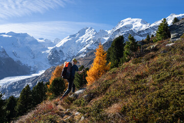 Fototapete - A man hiking in front of the famous Biancograt, near Morteratsch, in autumn.