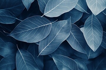 Poster - A close-up shot of blue leaves with visible veins.