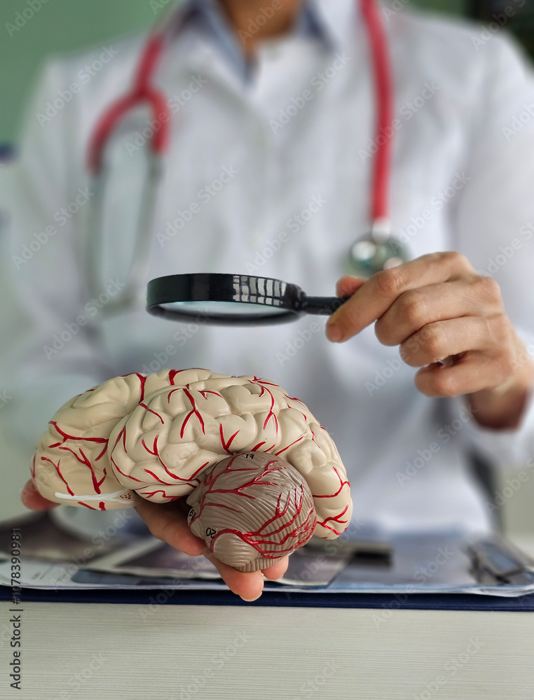 Neurologist with model of human brain anatomy and magnifying glass ...
