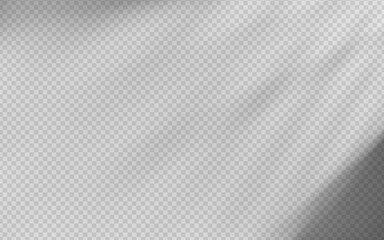 Wall Mural - abstract shadow overlay from foliage on a transparent background.