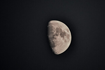 moon in the night