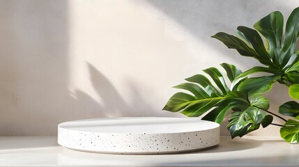 Wall Mural - White round podium with green leaves on beige background.