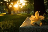 Serene Sunset at Cemetery with Lily Flower on Grave Stone Symbolizing Remembrance and Peaceful Reflection in Tranquil Natural Setting