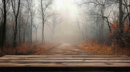 Poster - A wooded path with a foggy sky in the background