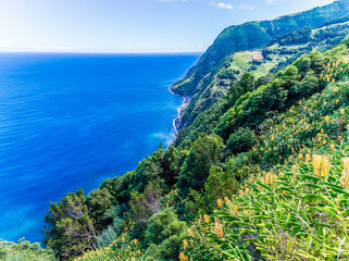 Wall Mural - A view of blooming plants from the viewpoint at Sossego on the island of Sao Miguel in the Azores in summertime