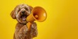 © Cupcake - Funny cute dog with megaphone on yellow background with copy space. Announcement, rush, discount, sales concept.