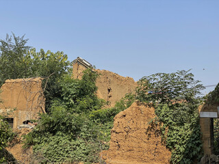 An abandoned mud brick structure surrounded by dense green vegetation, depicting decay and nature's reclamation. The bright blue sky contrasts with the earthy ruins and thriving plant life.