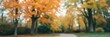 © Katherina - Blurred background of autumn park with vibrant orange and yellow leaves on trees and soft focus, trees, yellow