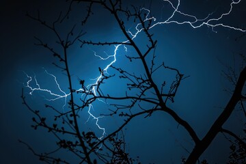 Wall Mural - lightning lightning strike on a dark blue sky over the tree branch silhouette