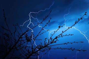 Wall Mural - lightning lightning strike on a dark blue sky over the tree branch silhouette