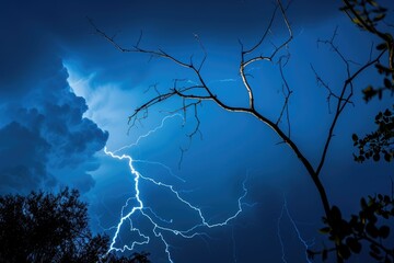 Wall Mural - lightning lightning strike on a dark blue sky over the tree branch silhouette