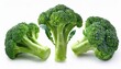 © Sophia - delicious broccoli collection isolated on white background
