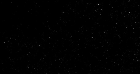 Wall Mural - Natural Organic Dust Particles Floating On Black Background. Dynamic Dust Particles Randomly Float In Space. Shimmering Glittering Dust Particles With Bokeh. Slow motion on Black Background.