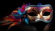 © Sophia - carnival mask isolated on black