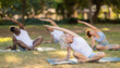 © JackF - Group of athletic people of different nationalities exercise together in the park - stretching their bodies