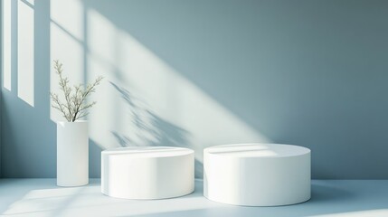 Leinwandbilder - Abstract gradient gray background featuring modern minimalist white cylinder pedestals designed for product display 3D rendering