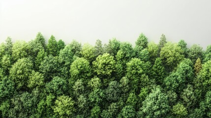 Poster - Isolated green forest on a background created through 3D rendering and illustration techniques