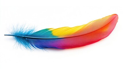 Poster - Vibrant colorful feather set against a white backdrop