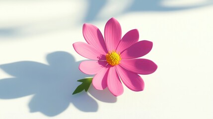 Fototapete - Detail of shadow on a white background featuring a pink cosmos flower in 3D cartoon rendering creative style