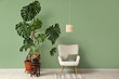 © Pixel-Shot - Monstera houseplants and armchair near green wall