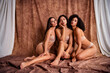 © deagreez - Photo of a young three models in lingerie sit floor adult films actresses posing isolated on brown color background