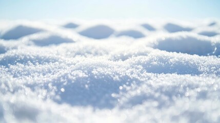 Wall Mural - A detailed close up view of snow against a plain white backdrop