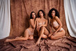 © deagreez - Photo of three beautiful seductive girls model sit floor in basic bra and pants isolated on brown textile background