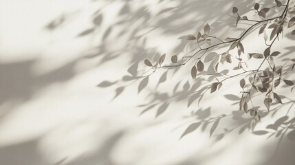 Poster - Gray shadow of delicate thin leaves cast on a white wall Abstract nature inspired background with neutral tones Space available for text