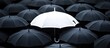 © dheograft - White Umbrella, Black Umbrellas