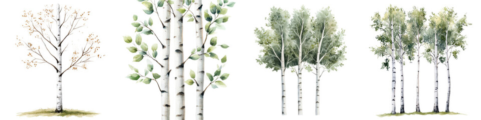 ethereal watercolor birch trees in serene woodland landscape delicate silver birch trunks and branch