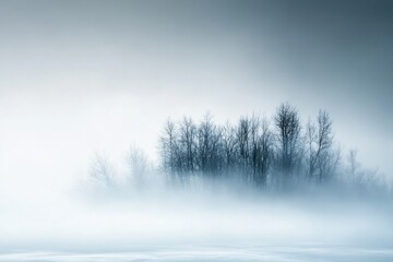 Wall Mural - A group of bare trees in a foggy field.