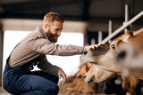 Happy man worker farmer pets and scratches a cow in barn. Concept farming industry, farm agriculture cattle livestock