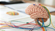 © SMART.art - Close-up of human brain model with colorful wires connecting to represent neural activity, symbolizing mental exercise and cognitive development, with copy space for text or design.