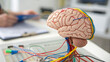 © SMART.art - Close-up of human brain model with colorful wires connecting to represent neural activity, symbolizing mental exercise and cognitive development, with copy space for text or design.
