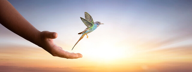 Wall Mural - a bird is flying over the hand of a child against the sunset