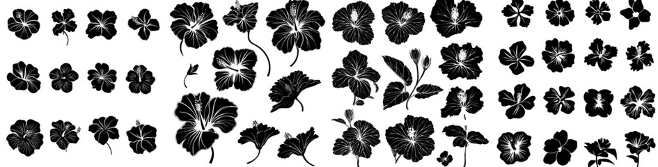 Poster - Tropical black summer graphic element set white floral isolated art silhouette exotic botanical decoration drawing leaf modern illustration nature flower design