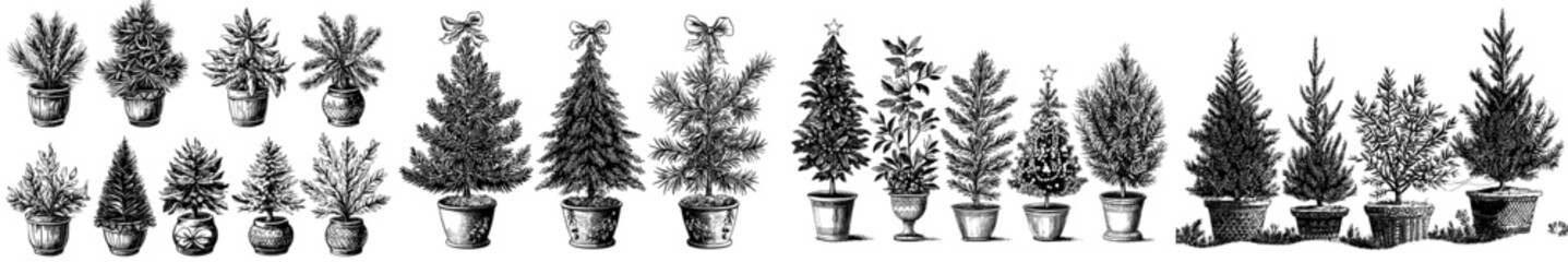 Canvas Print - Xmas fir trees in pots and baskets on a white background, wreathed in baubles. Flat modern illustrations.