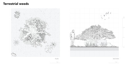 Fototapete - Architectural Drawings, Minimal style cad tree line drawing, Side view, set of section wetland forest outline for landscape design drawing. Vector illustration in seperate element