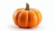 © SwathiFX - Vibrant Pumpkin Perfect for Autumn Decor
