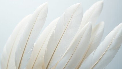 Poster - A close up of white feathers