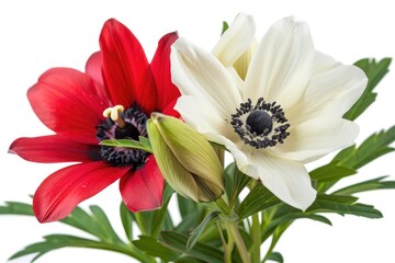 Aufkleber - A pair of vibrant red and white flowers arranged in a decorative vase