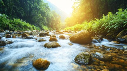 Poster - Mountain stream flowing over smooth stones surrounded by ferns and moss with a soft, peaceful ambiance with side empty space for text Stockphoto style