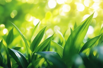 Poster - A detailed view of lush green foliage, ideal for use in nature or environmental contexts