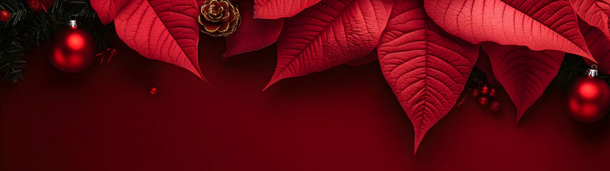 Wall Mural - Abstract background with red Poinsettia leaves. Horizontal composition, banner.